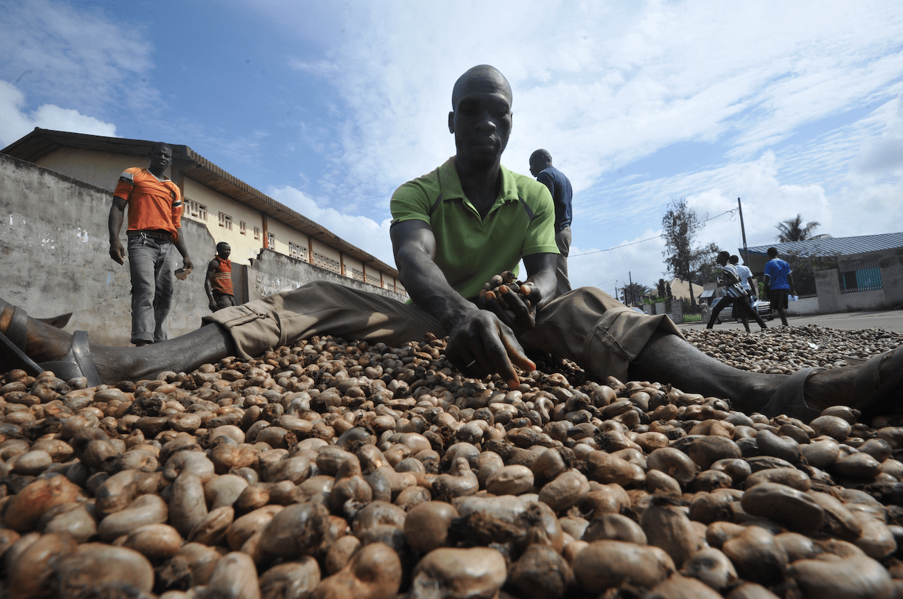 Cashew trade