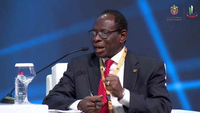ECOWAS Commission: Dr Konadu Apraku addresses Technical Committee on Single Currency