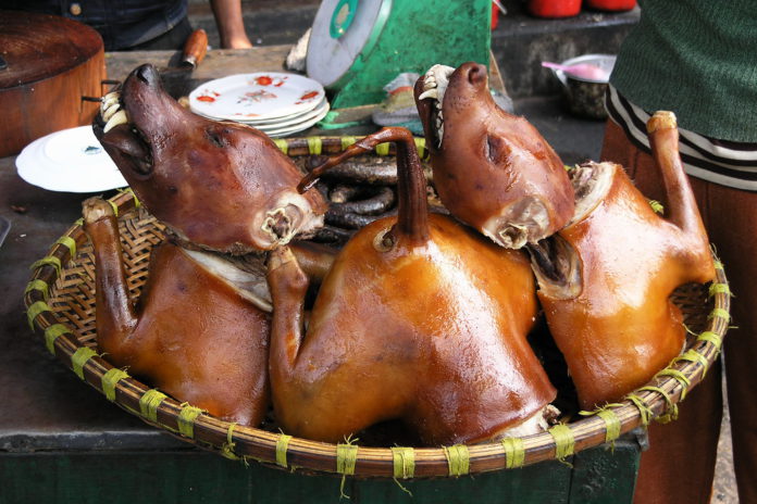 Dog shortage hits Sandema market