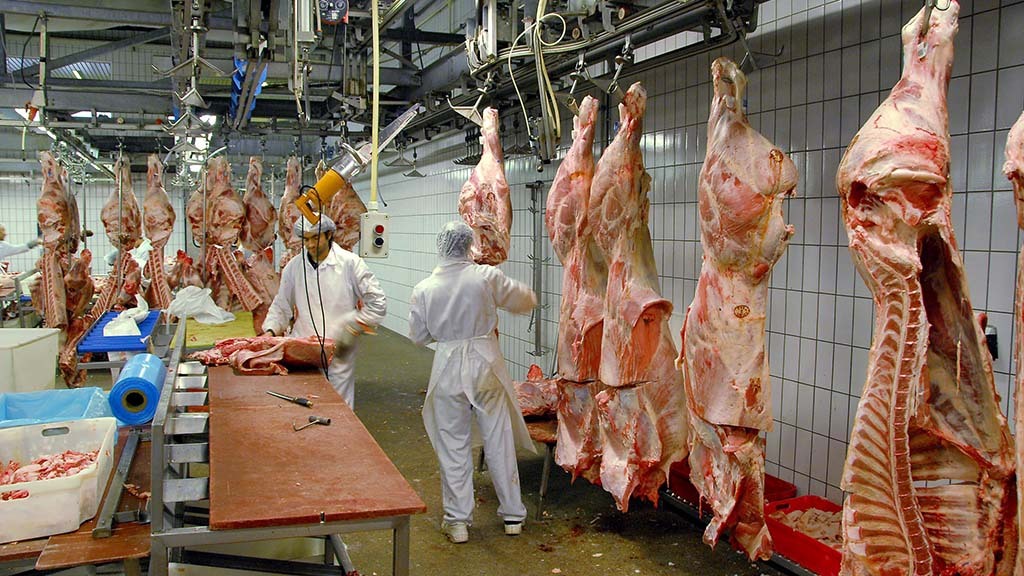 Abattoir