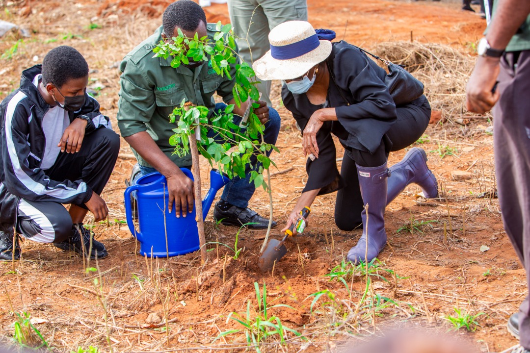 Rawlings’ passion for the environment celebrated