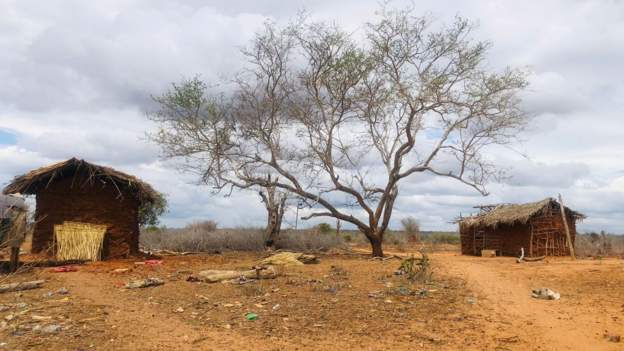 Kenyan children eating bitter leaves