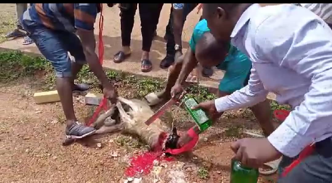 Assin South: 16 Assembly Members rain curses on DCE, Regional Coordinator, others  over ‘disenfranchisement’