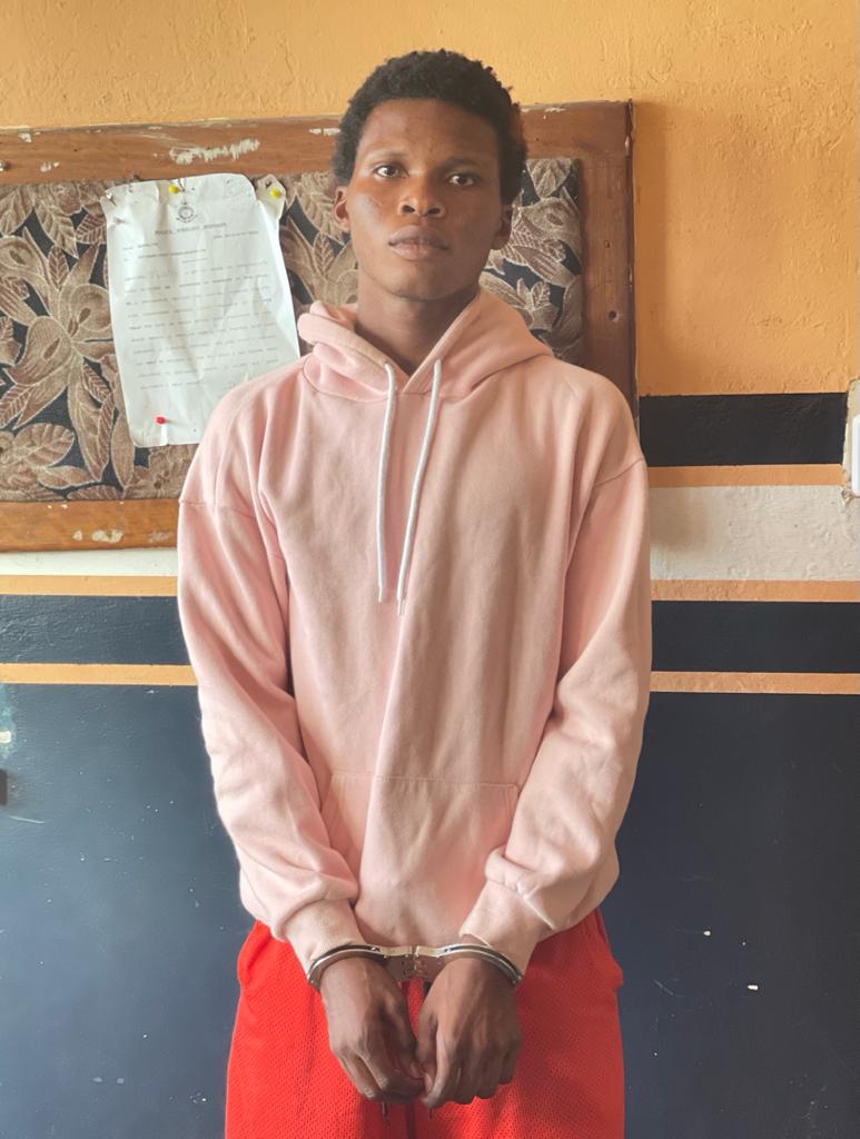 Police recruitment scammer remanded into police custody