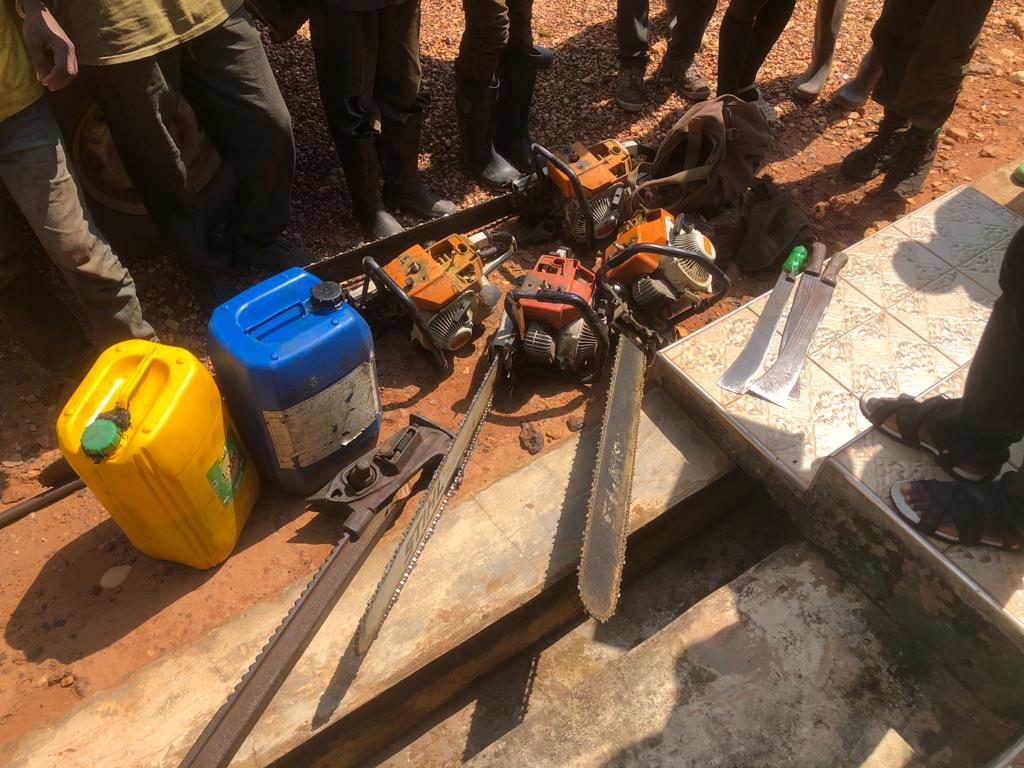 Eleven illegal chainsaw operators arrested by Akyem Oda Forestry Commission