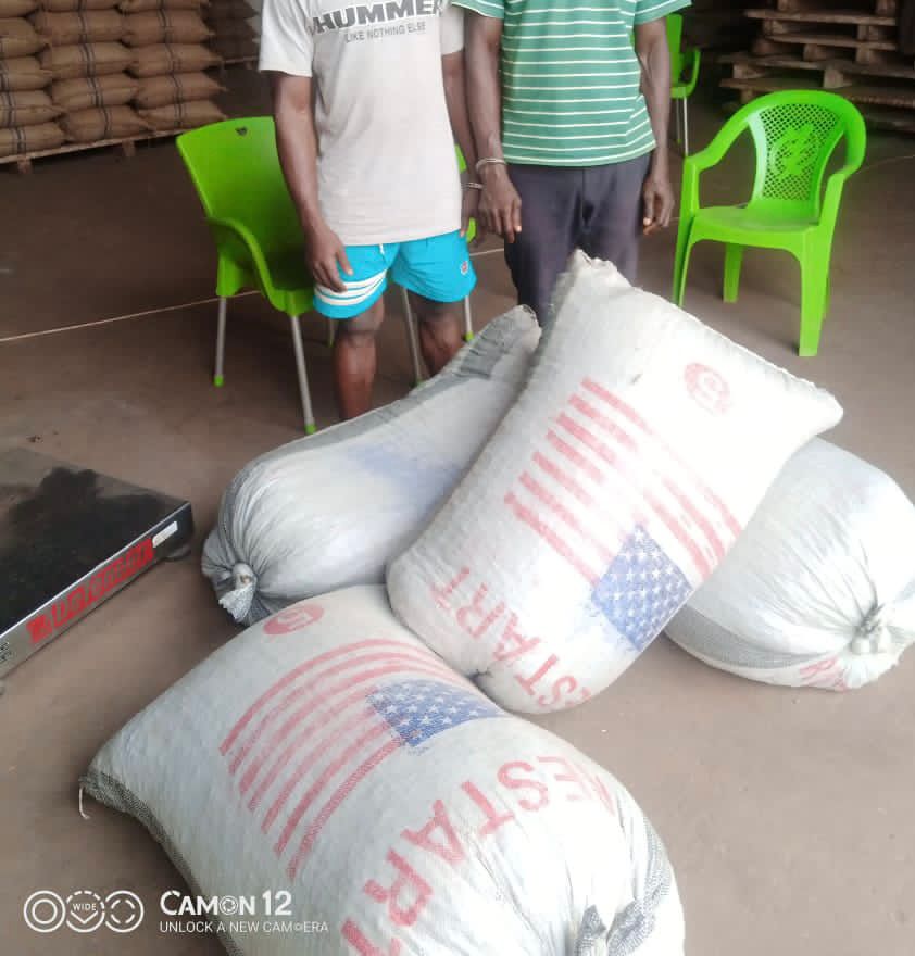 Alleged cocoa smugglers arrested in Volta region