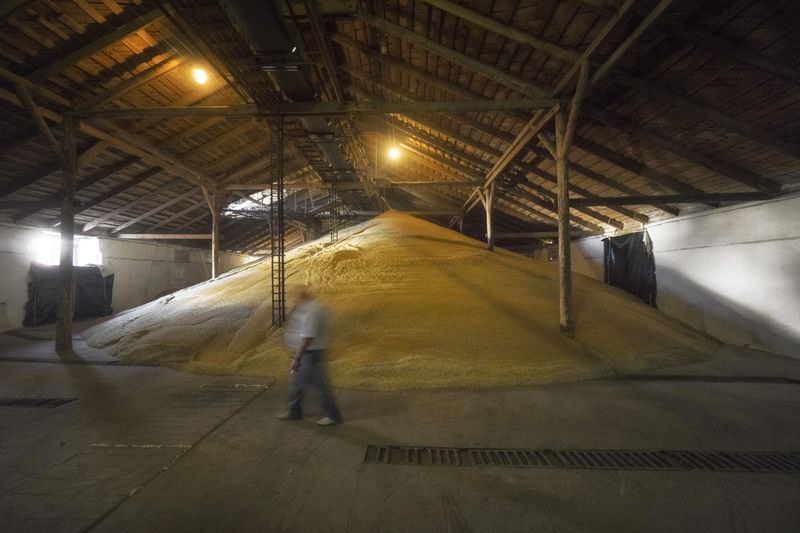 Ukraine crisis sparks frenzy in global agriculture trade