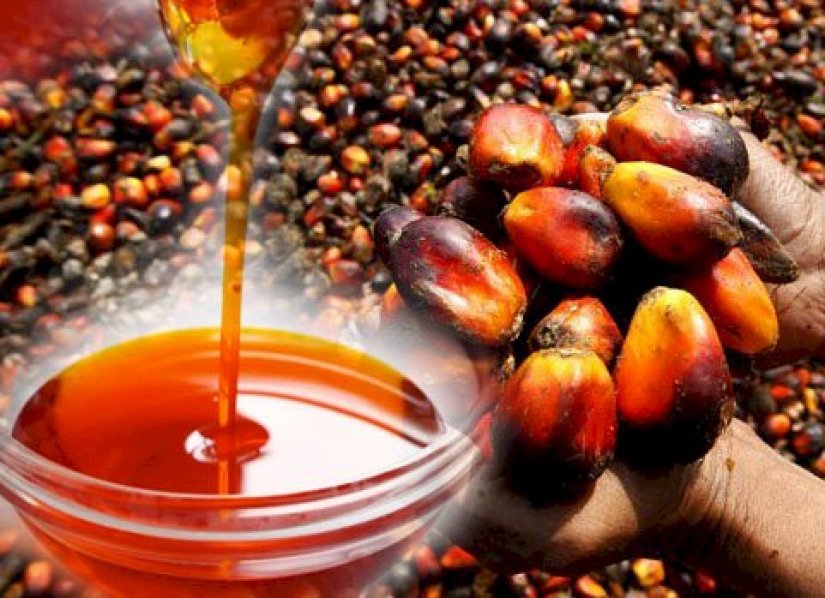 Artisanal palm oil millers pledge support to clamp down on contaminated oil products