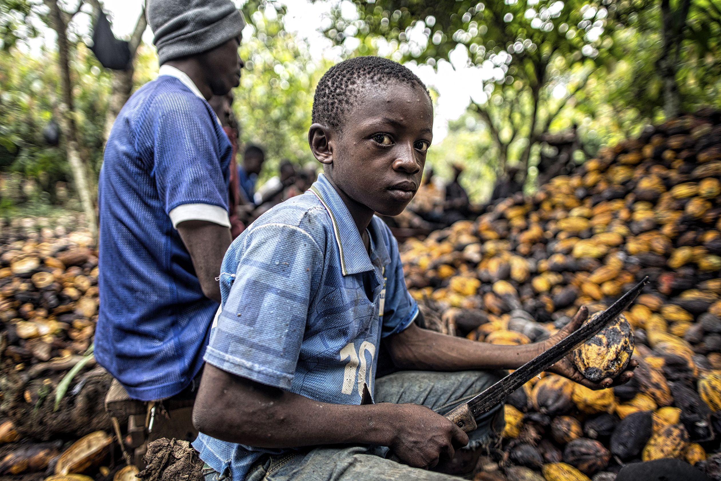 Cadbury accused of child labour in its supply chain in Ghana