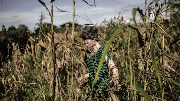 Malawi gives 155-year jail terms for albino murder