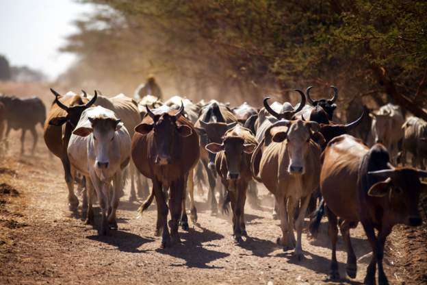 South Sudan to send army to contested Abyei region