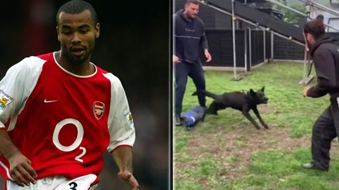 Ashley Cole spends 23,300 euros on guard dog to prevent another home invasion