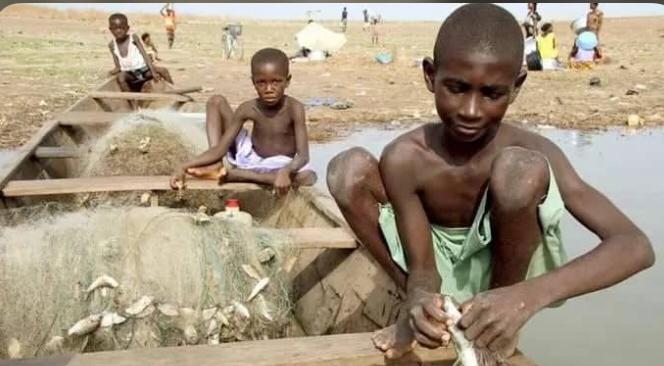 Successful labour inspection needed to reduce child trafficking – NECPAD