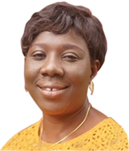 Opuni-Agongo trial:  Farmer schools DPP on difference between fertilizer and pesticide