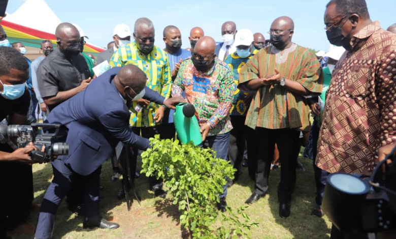 Green Ghana: Let’s help meet the “20 million trees” target – Nana Addo to Ghanaians