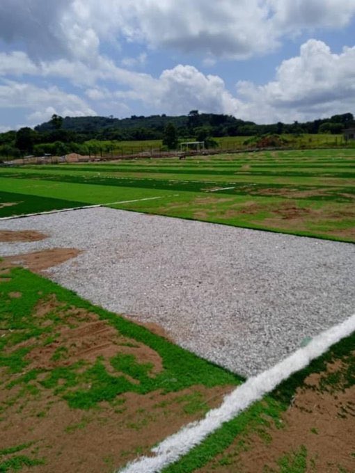 Court sentences astroturf thief to imprisonment with hard labour, accomplice declared wanted