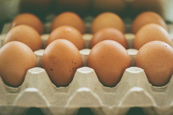 Egg Campaign Services to embark on nationwide sensitization programme on egg consumption