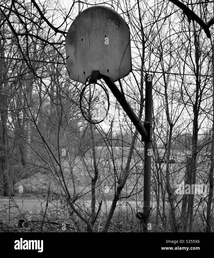 Basketball