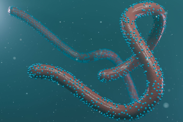Marburg Virus: One dead, 40 quarantined in Savannah Region