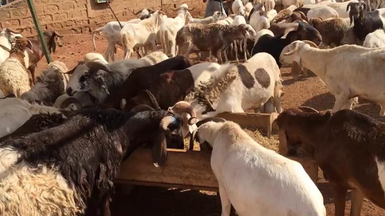 N/R: We are suffering – Traders in Tamale lament rising cost of goods