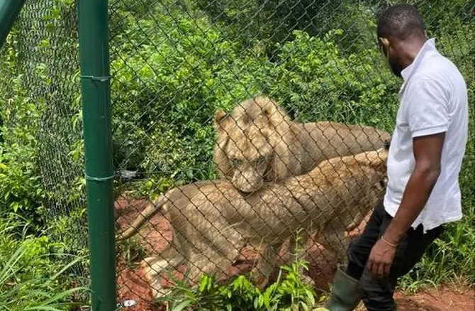 Accra Zoo death: We need better answers – BPS to Forestry Commission