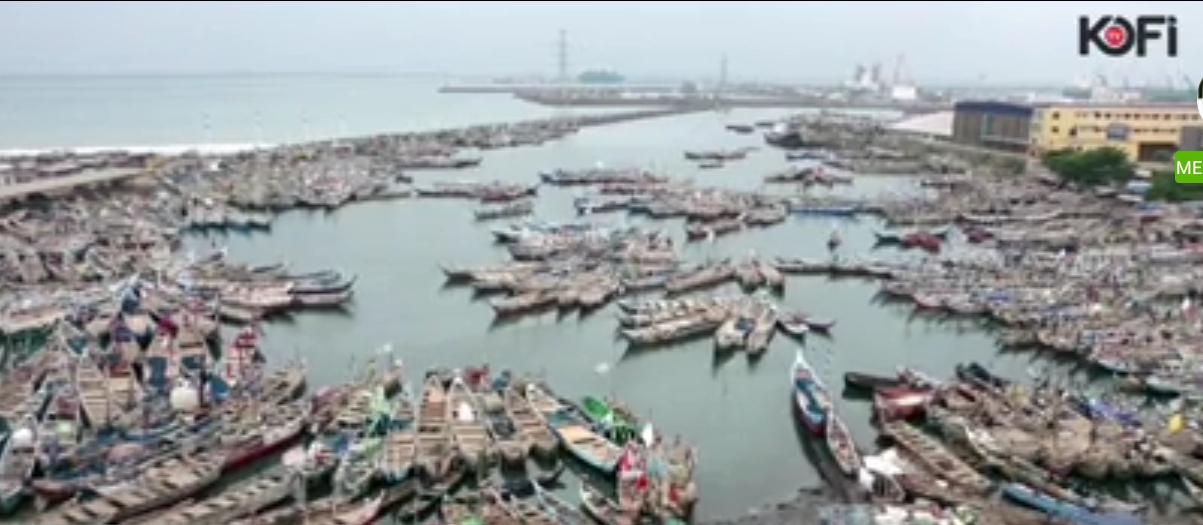 Stop selling premix to businessmen and let fishermen benefit – Tema Traditional Council