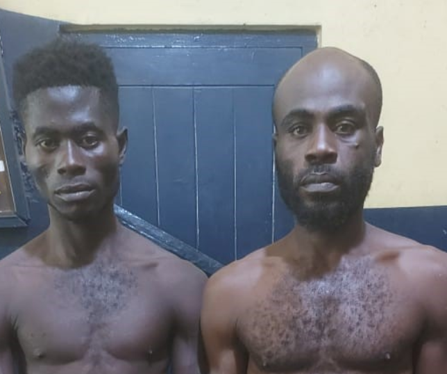 Two Nigerians jailed 20 years each for galamsey in Western Region