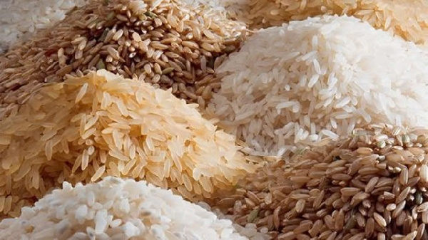 Central Region has huge potential for rice production – Agric Minister