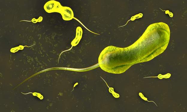 Over 180 dead in Malawi as cholera death toll rises
