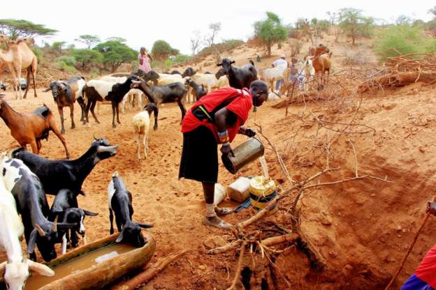 Kenya ministers to forgo a month’s pay in drought aid