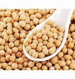 Comply with ban on grains and soya beans export – Customs Division told