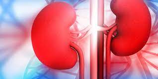 Rise in kidney disease ‘worrying’ – Dr Sampene