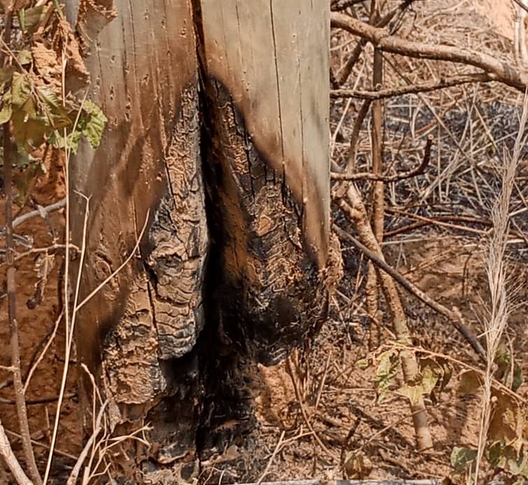 A burnt pole at Koluedo Zongo