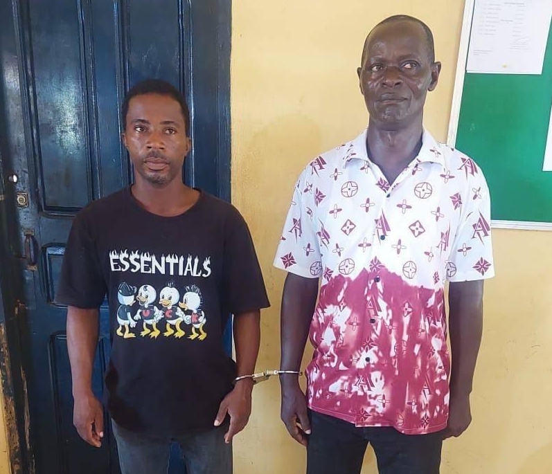 Limited Voter Registration: NDC secretary, one other busted for registering minors