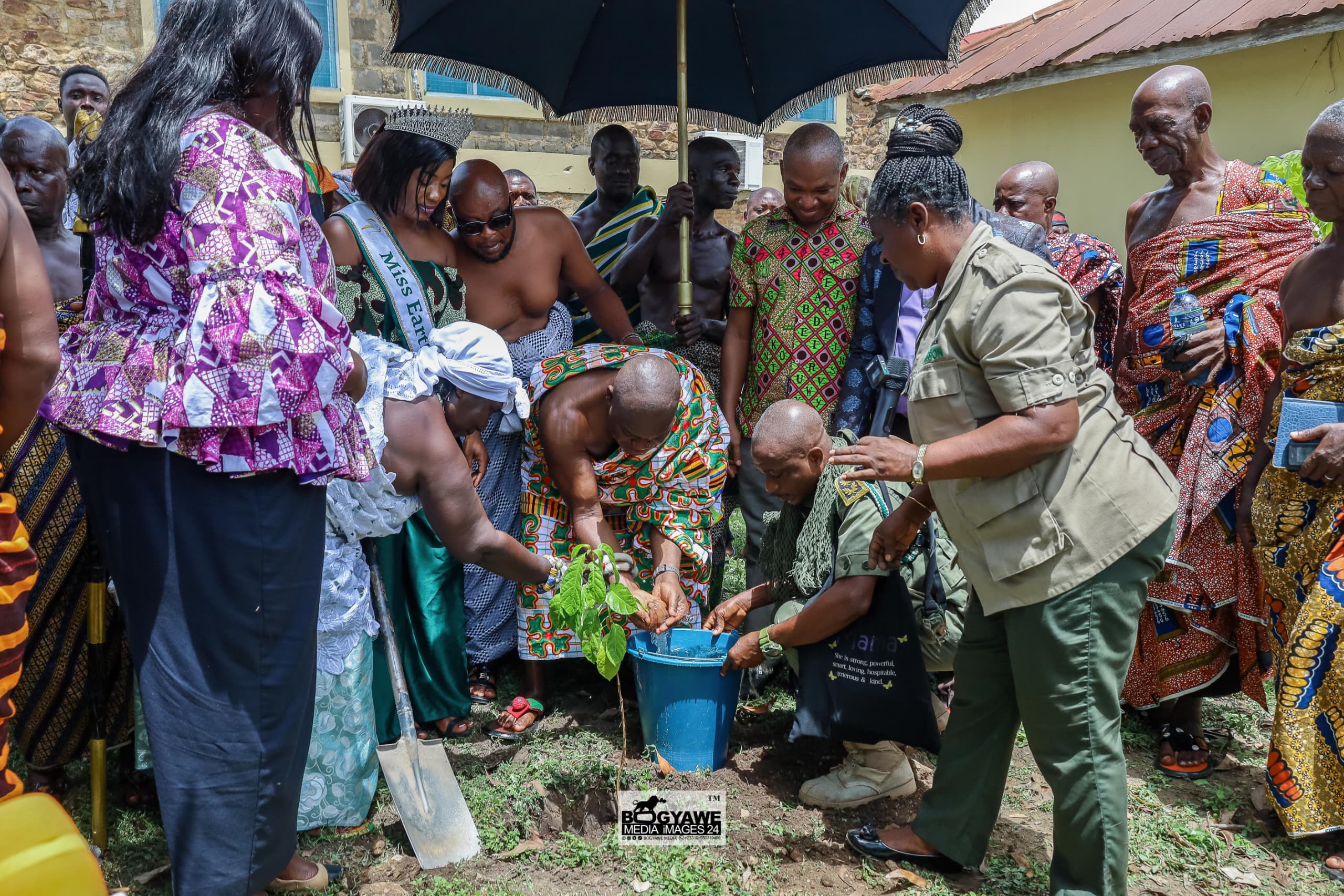 Akwamuhene, Odeneho Kwafo Akoto III, launches 1million tree planting campaign
