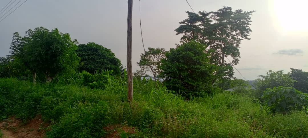 Tensions rise in Adansi Praso following power disconnection
