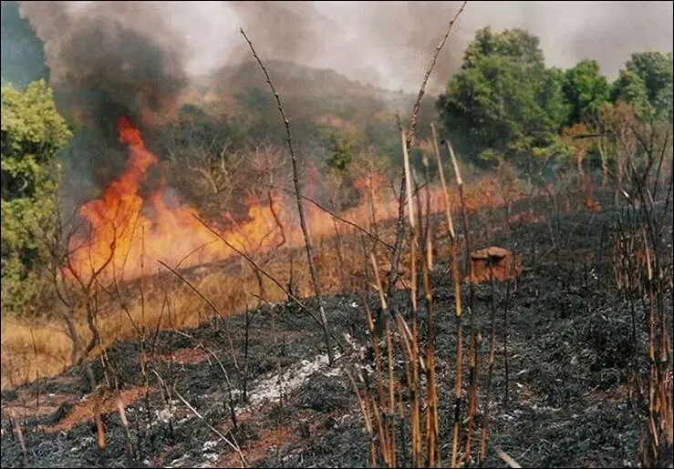 ECG pleads with farmers to be responsible in bush burning