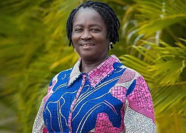 Vice President’s Office announces key appointments, Ofosu Ampofo is policy advisor