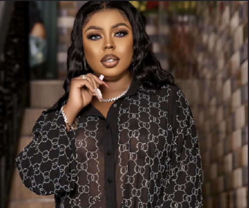 Afia Schwarzenegger criticises President Mahama over Ann Sansa appointment