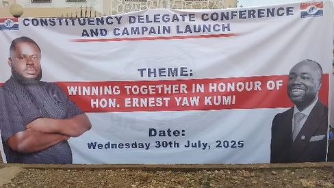 NPP demands ‘tougher security measures, professionalism’ for Akwatia by-election