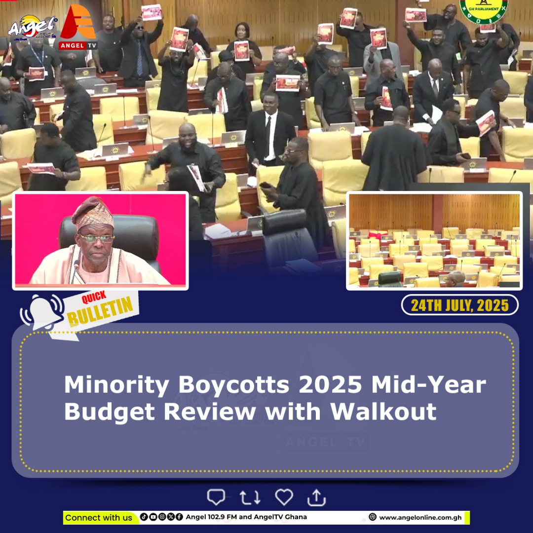 Minority boycotts 2025 Mid-Year Budget review