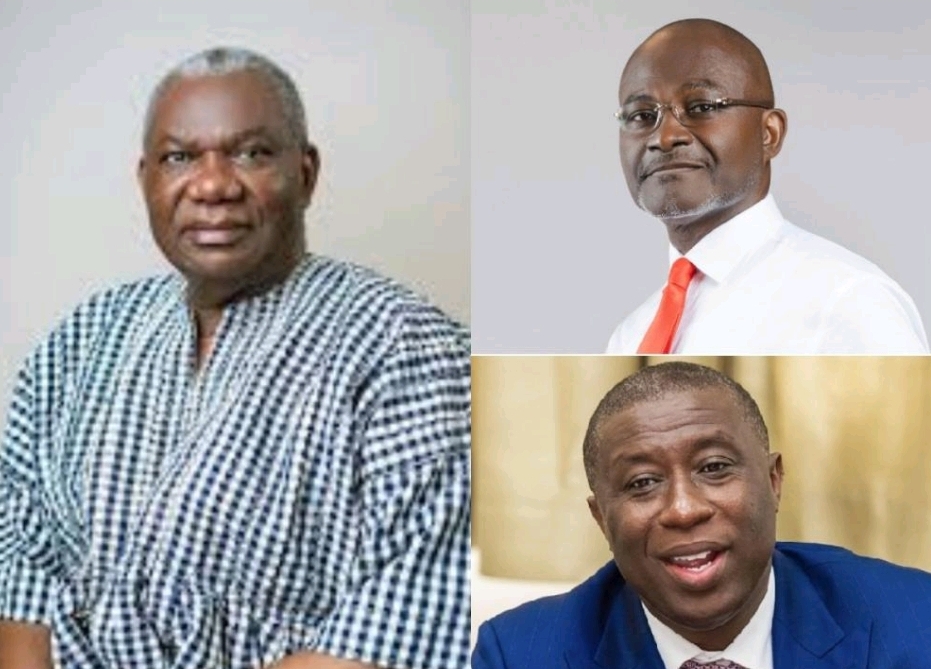 NPP bigwigs condemn top-down flagbearer election ‘plot’