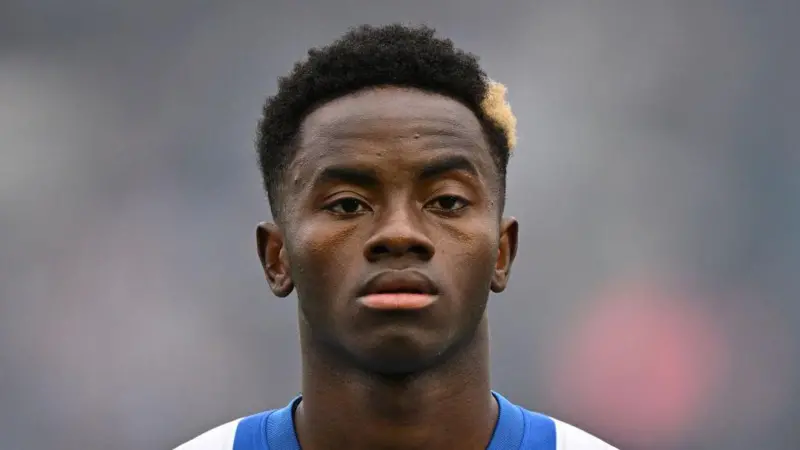 Sunderland sign Brighton winger Adingra