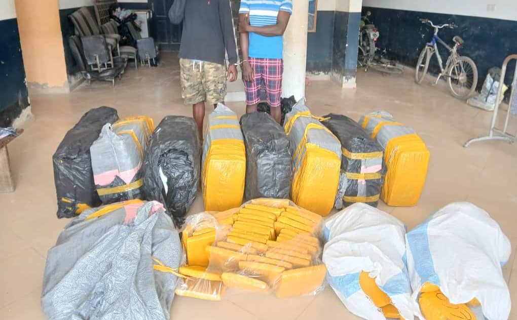 519 parcels of suspected Indian Hemp intercepted at Gomoa Nyanyano