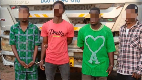 Four arrested for possession of suspected Indian Hemp
