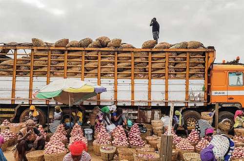 Onion farmers raise concern over unregulated importation