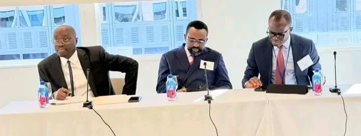 Economy recovery on track — Finance Minister to global investors