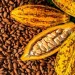 US rescinds 15% tariff on Ghanaian cocoa, boosting trade relations