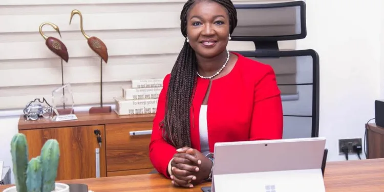 Gov’t to establish specialised courts to tackle audit failures, illegal mining