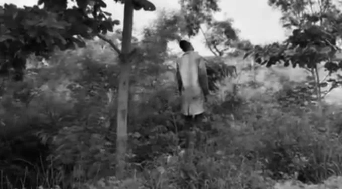 Man hangs himself at Havana Junction on Michel Camp Road